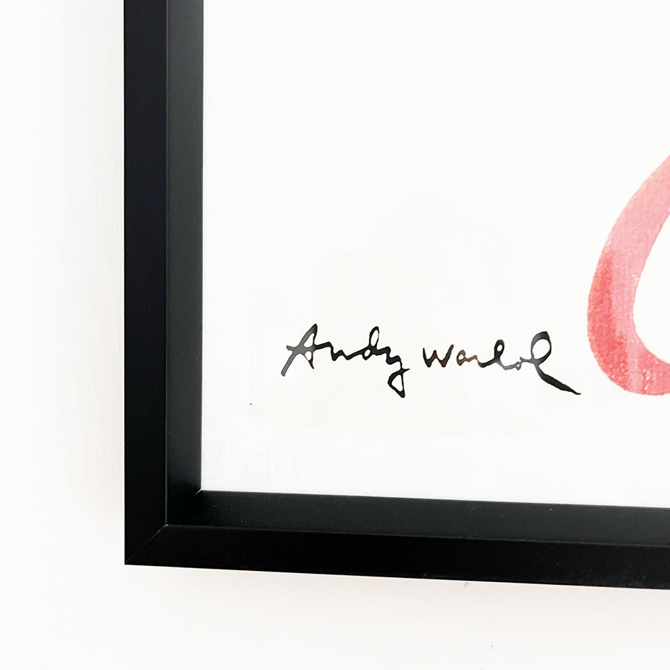 Andy Warhol Coca-Cola Edizione Limitata numerata a matita Litografia con certificato -Art-