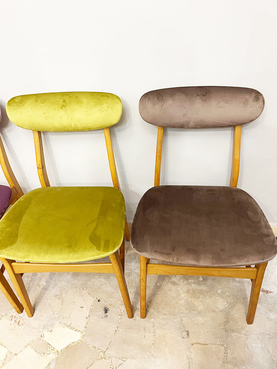 Sedie Set n. 4 Scandinave in Faggio rivestite in velluto colorato Vintage 1960 -Design-