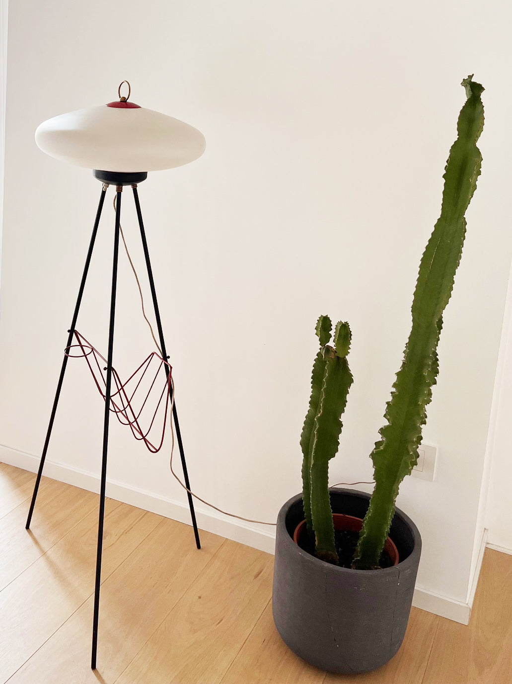 Lampada da terra Vintage 1950 -Top Lighting-