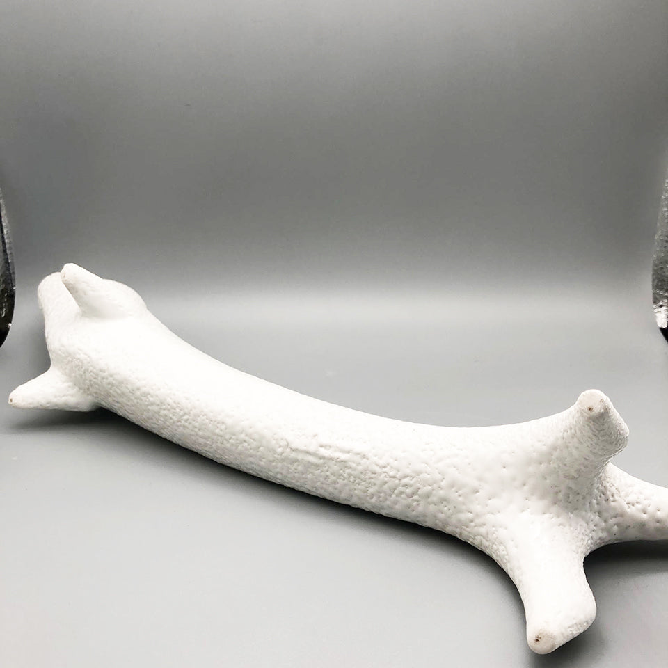 Cane Bianco di Roberto Rigon Made in Italy - Art -