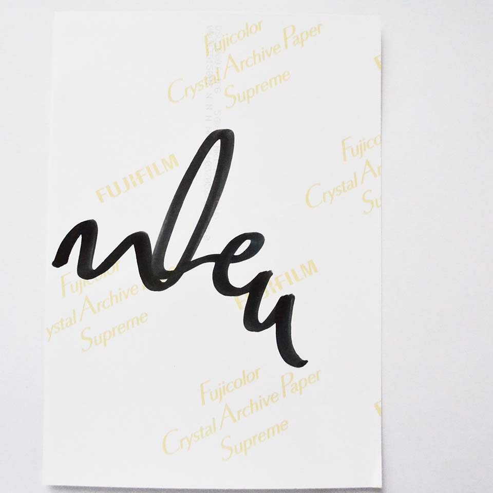 Lodola Opera Unica Dipinto su tela - Art -