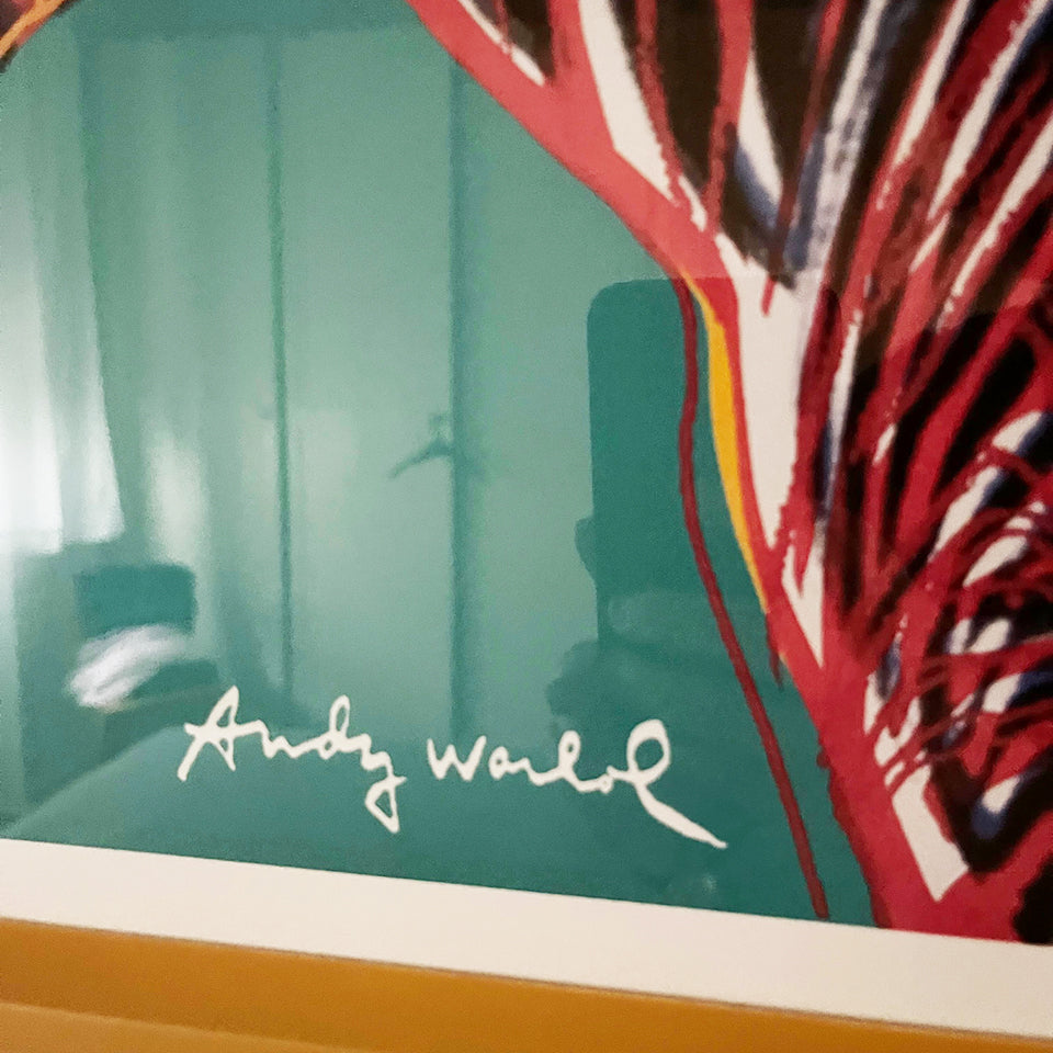 Andy Warhol Zebra Edizione Limitata numerata a matita Litografia con certificato -Art-